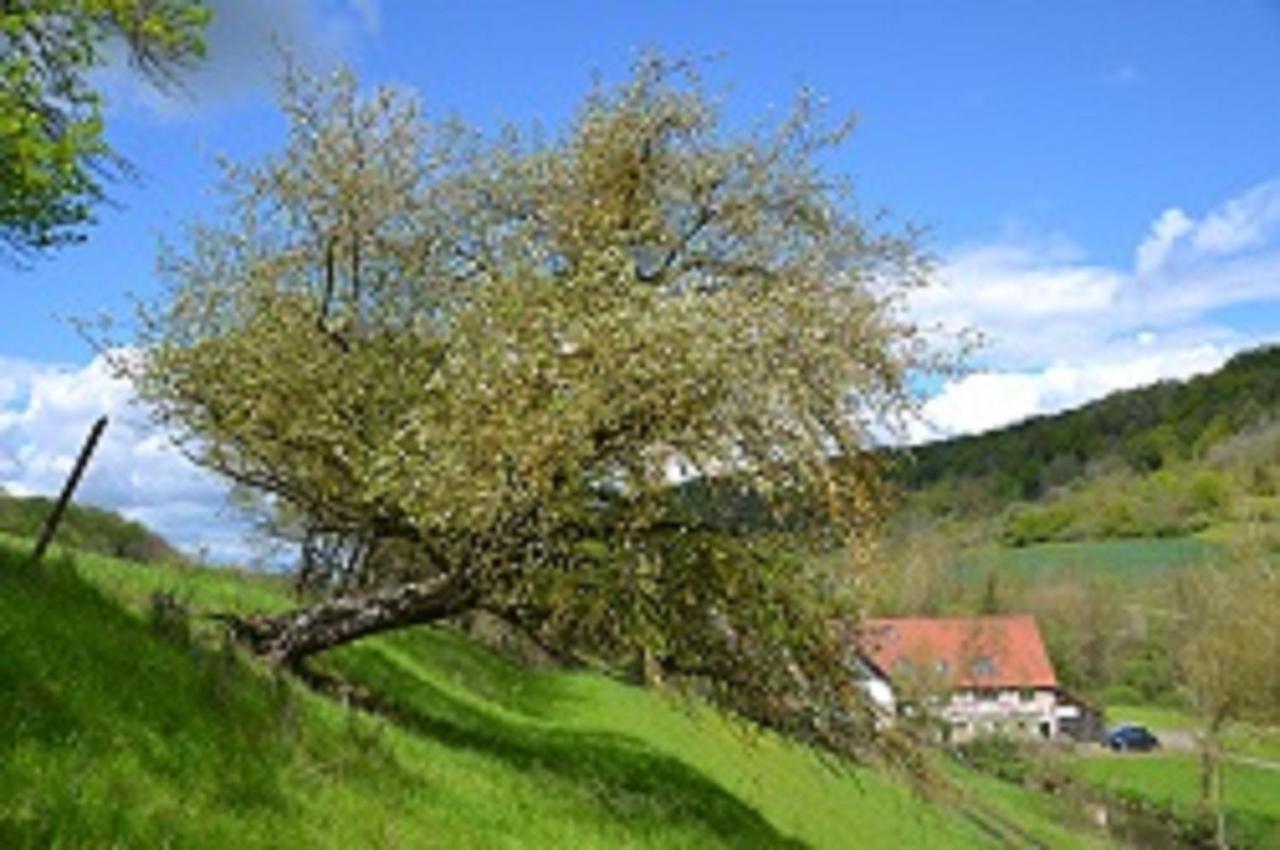 Gasthaus Holdermuehle Creglingen Exterior photo